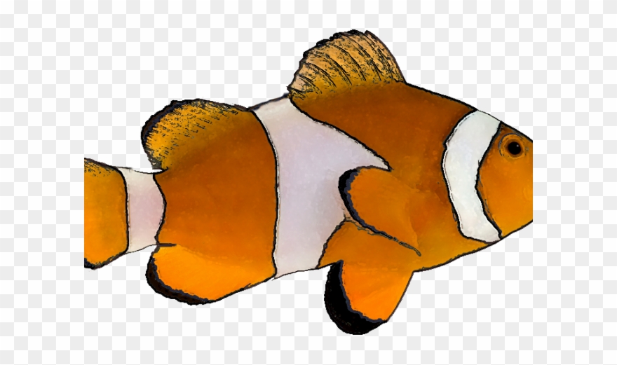 Detail Fish Transparent Background Nomer 31