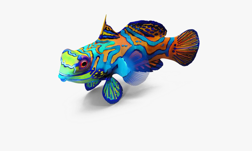 Detail Fish Transparent Background Nomer 40