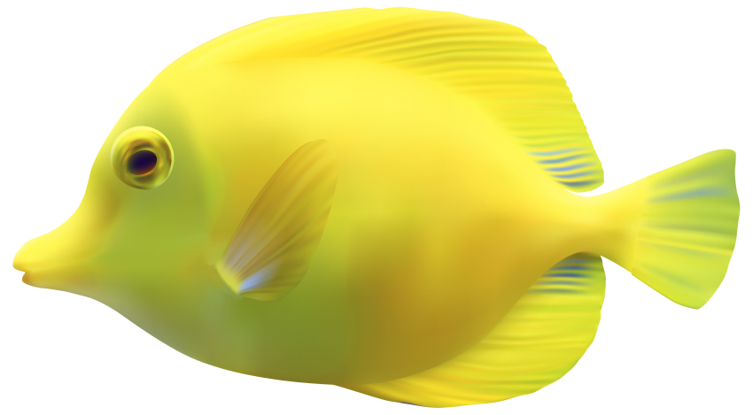 Detail Fish Transparent Background Nomer 5