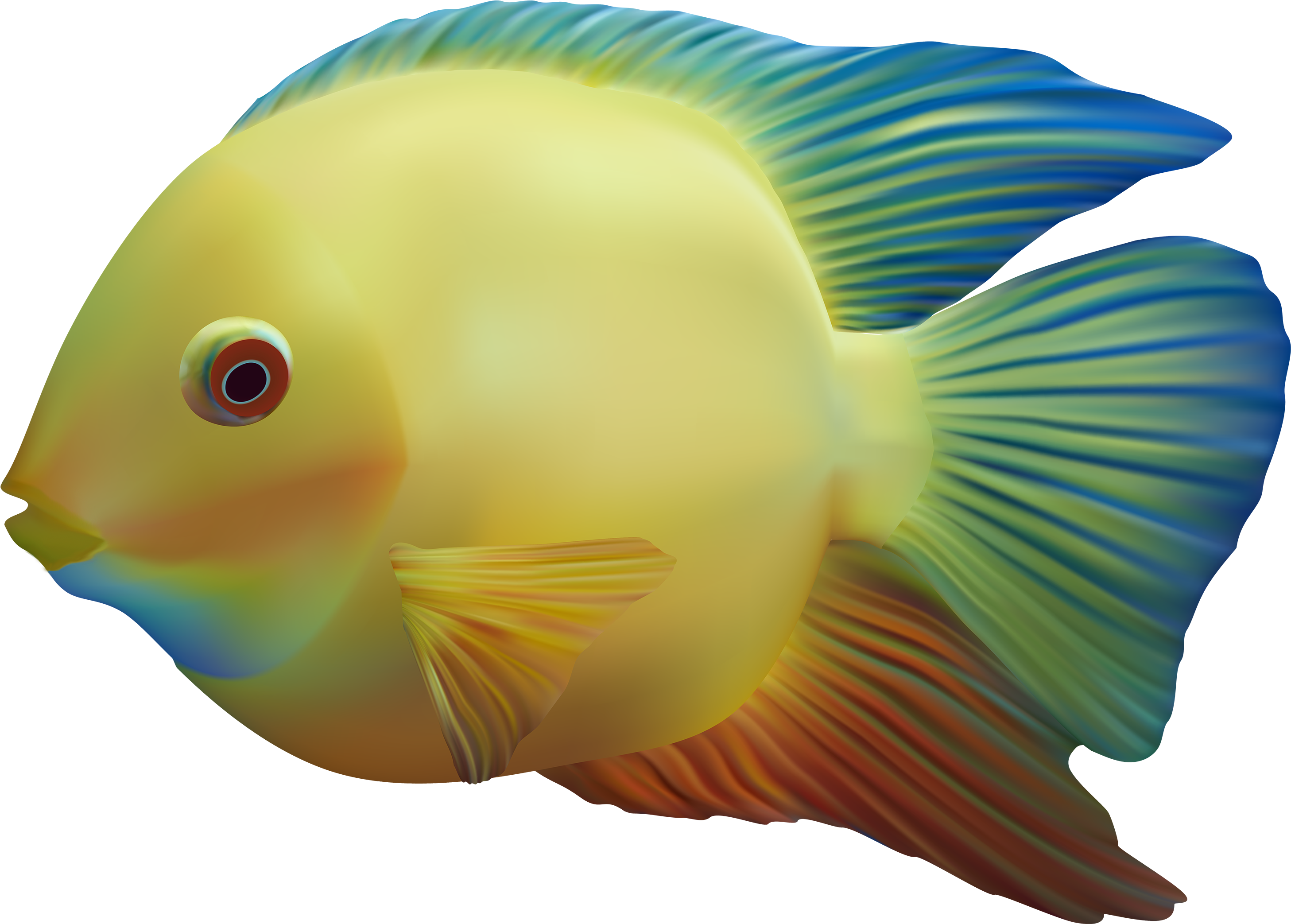 Detail Fish Transparent Background Nomer 7