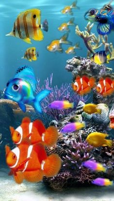 Detail Fish Wallpaper Live Nomer 15