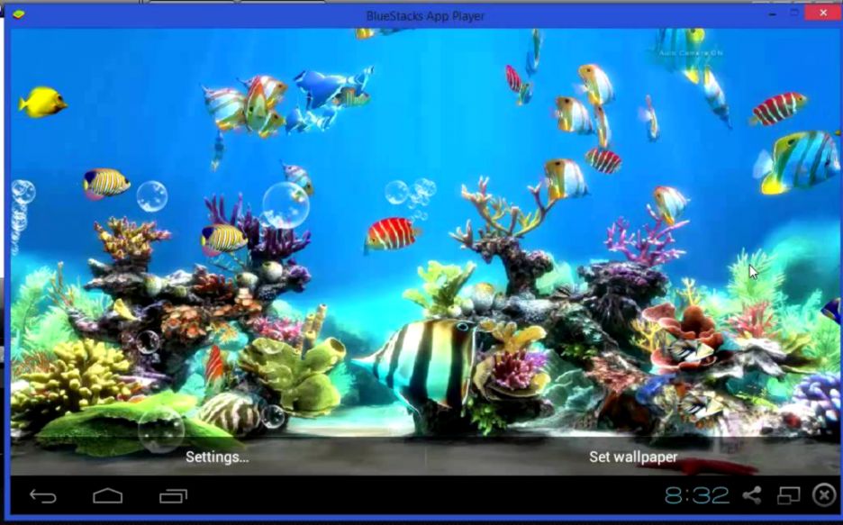 Detail Fish Wallpaper Live Nomer 23