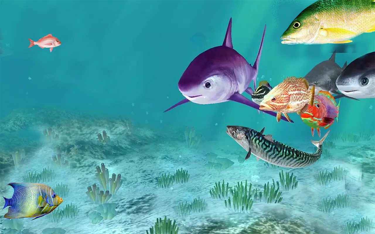 Detail Fish Wallpaper Live Nomer 34