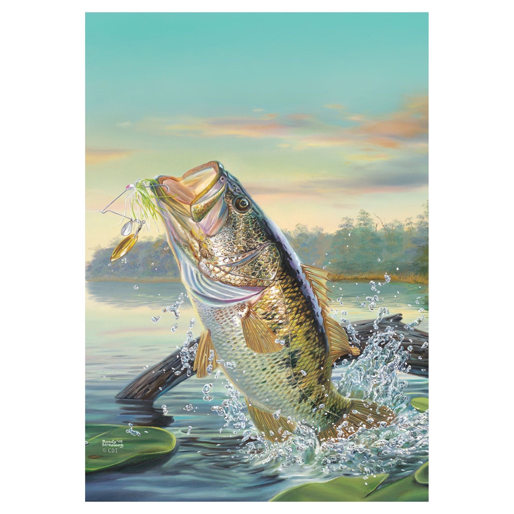 Detail Fishing Backgrounds For Iphone Nomer 14