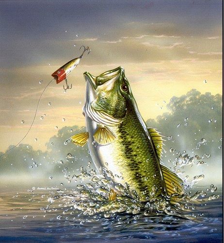 Detail Fishing Backgrounds For Iphone Nomer 47