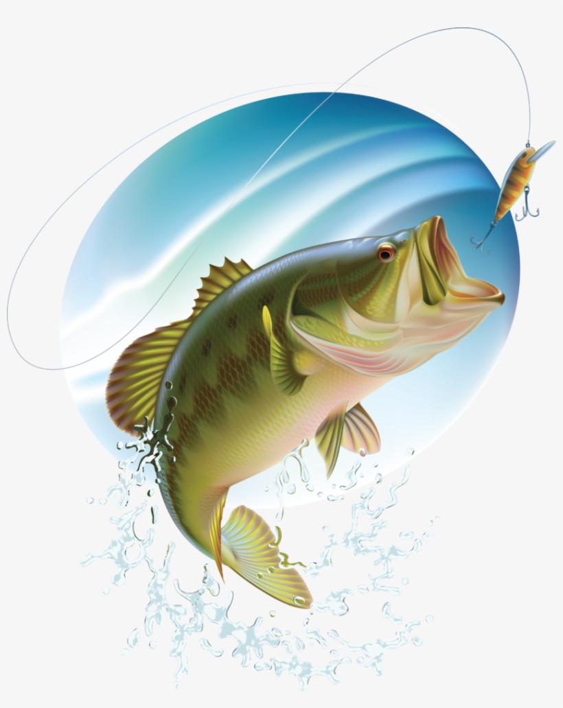 Detail Fishing Clipart Images Free Nomer 21