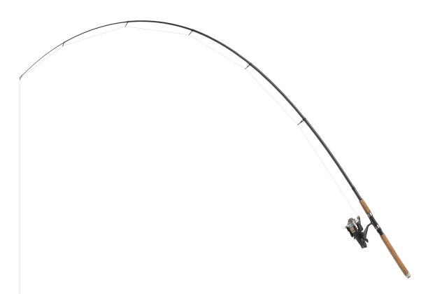 Detail Fishing Rod Image Nomer 14