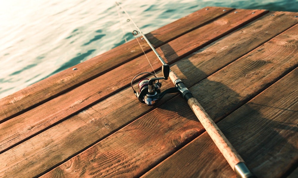 Detail Fishing Rod Pictures Nomer 24