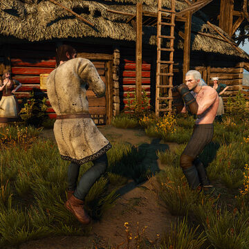 Detail Fist Of Fury Witcher 3 Nomer 3