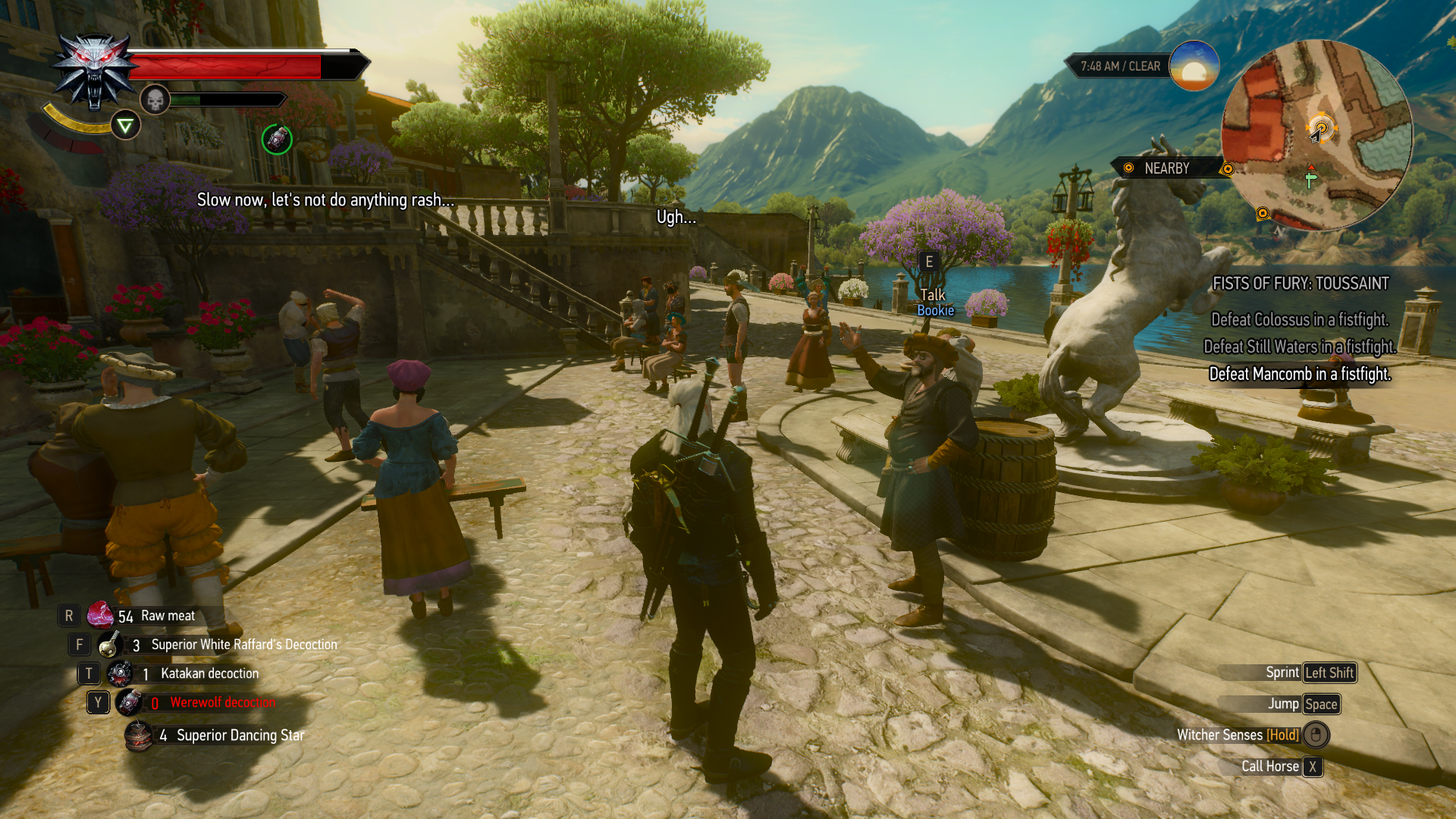 Detail Fist Of Fury Witcher 3 Nomer 21