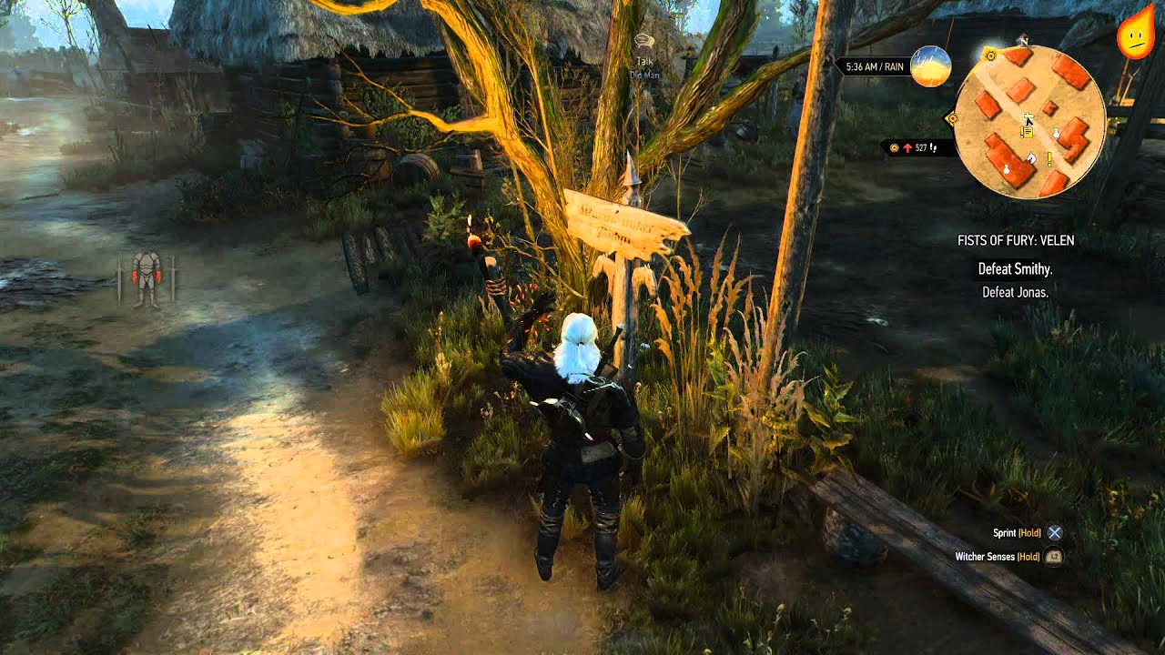 Detail Fist Of Fury Witcher 3 Nomer 22