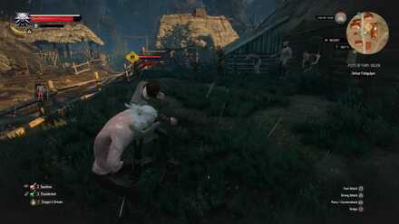 Detail Fist Of Fury Witcher 3 Nomer 28