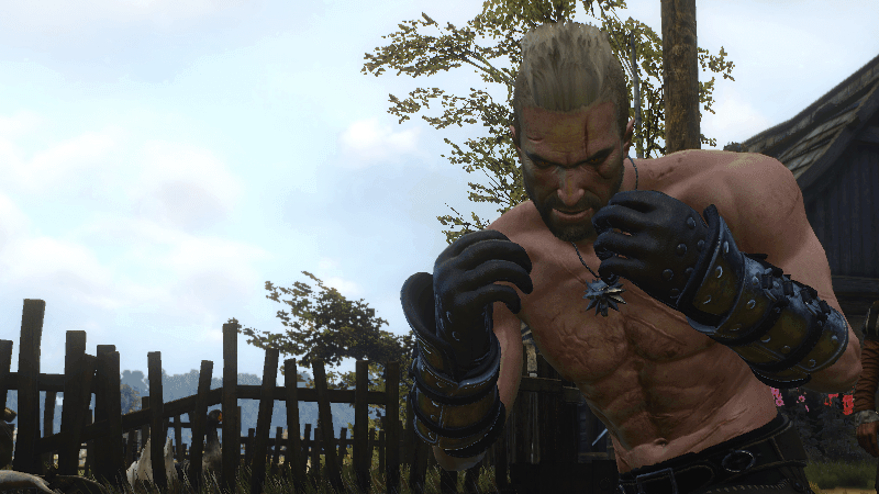 Detail Fist Of Fury Witcher 3 Nomer 46
