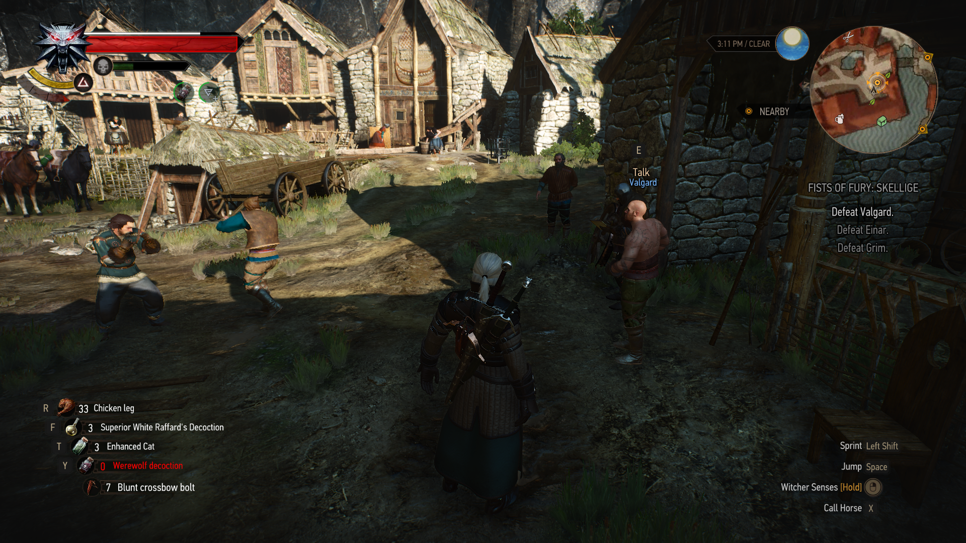Detail Fist Of Fury Witcher 3 Nomer 53