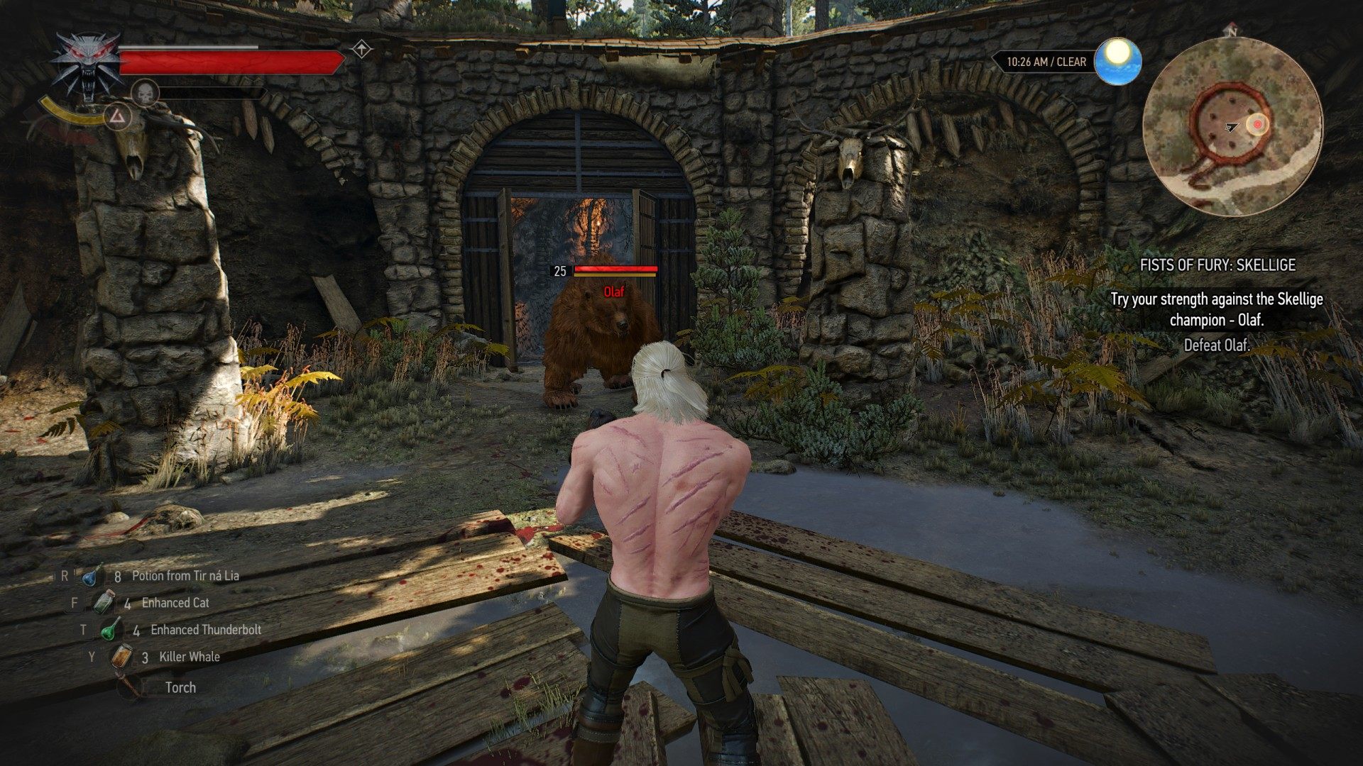 Detail Fist Of Fury Witcher 3 Nomer 9