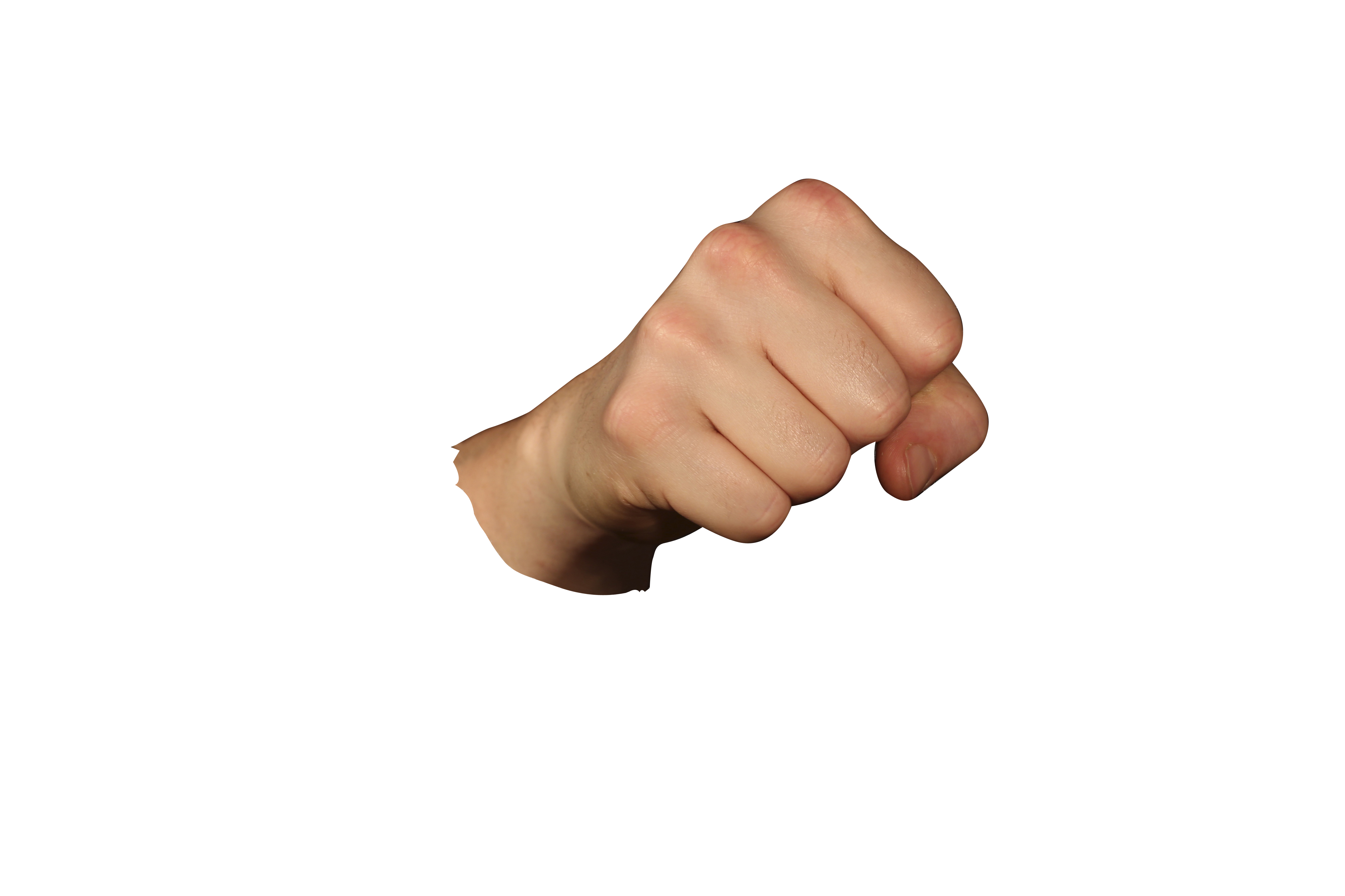 Detail Fists Png Nomer 9