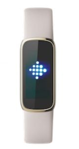 Detail Fitbit Logo Nomer 43