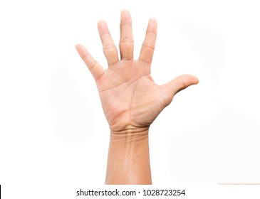 Detail Five Hand Nomer 2