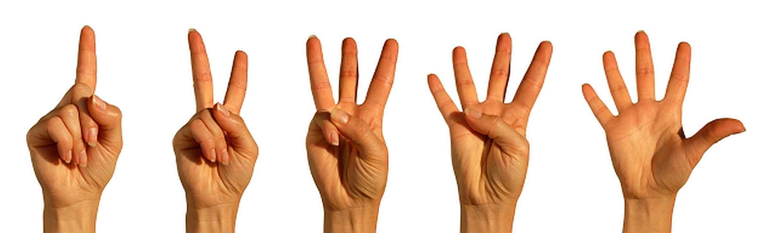 Detail Five Hand Nomer 17