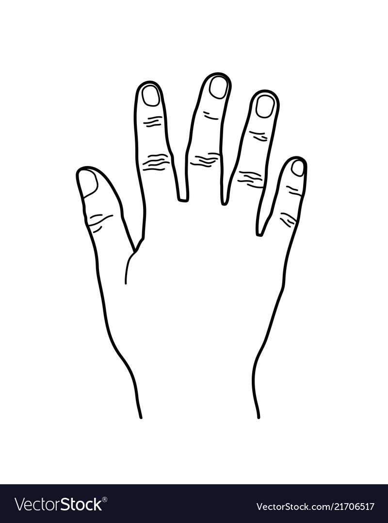 Detail Five Hand Nomer 24