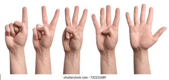 Detail Five Hand Nomer 4