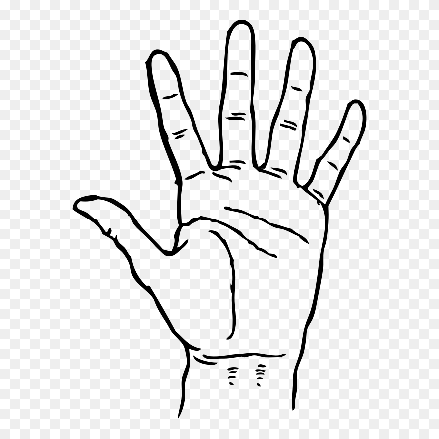 Detail Five Hand Nomer 42