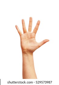 Detail Five Hand Nomer 6