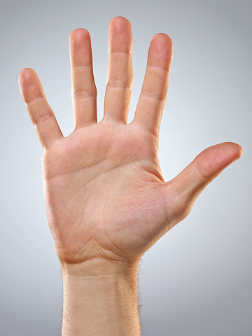 Detail Five Hand Nomer 8