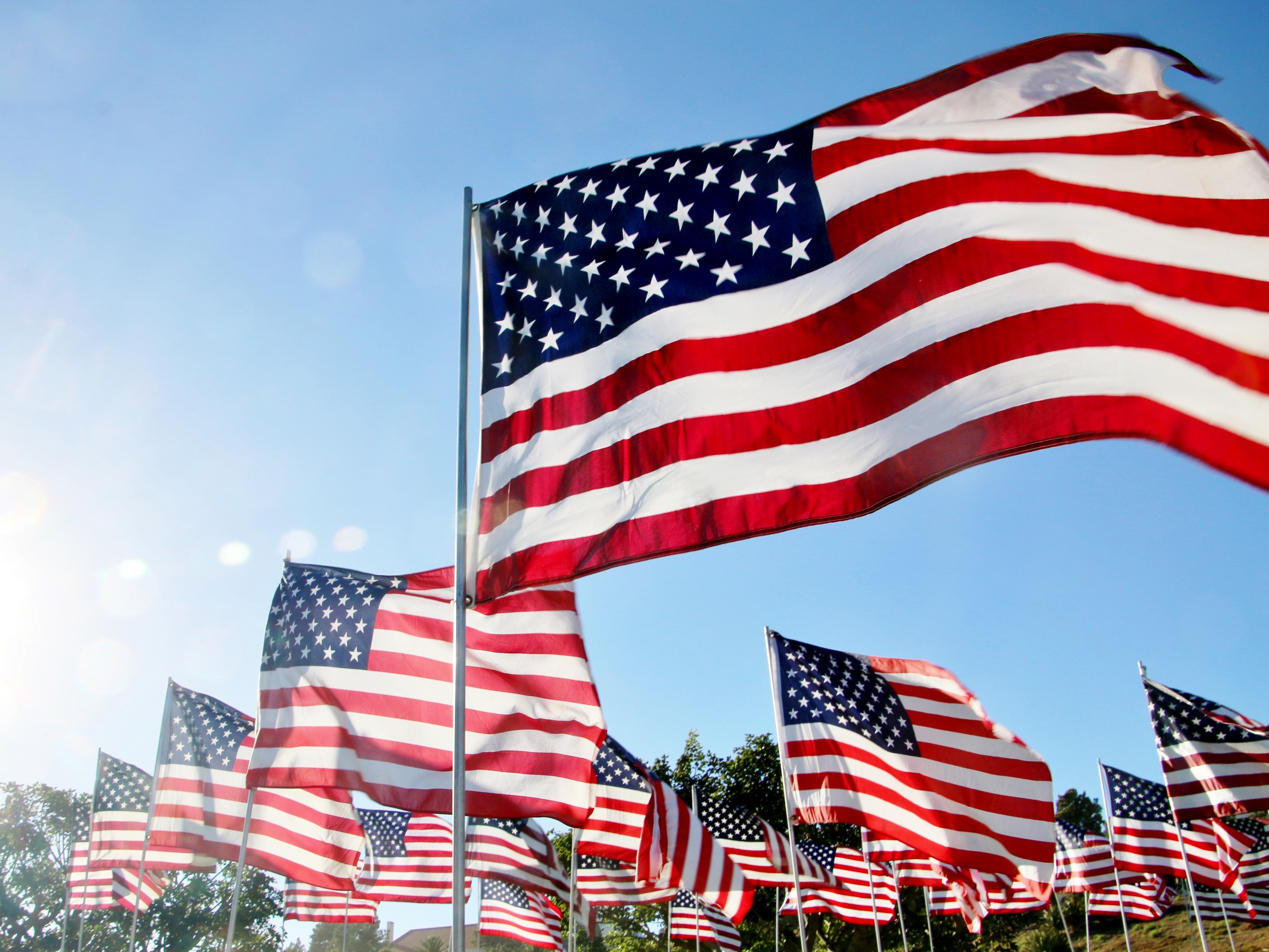 Detail Flag Of Usa Image Nomer 27