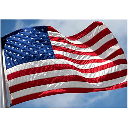 Detail Flag Of Usa Image Nomer 8