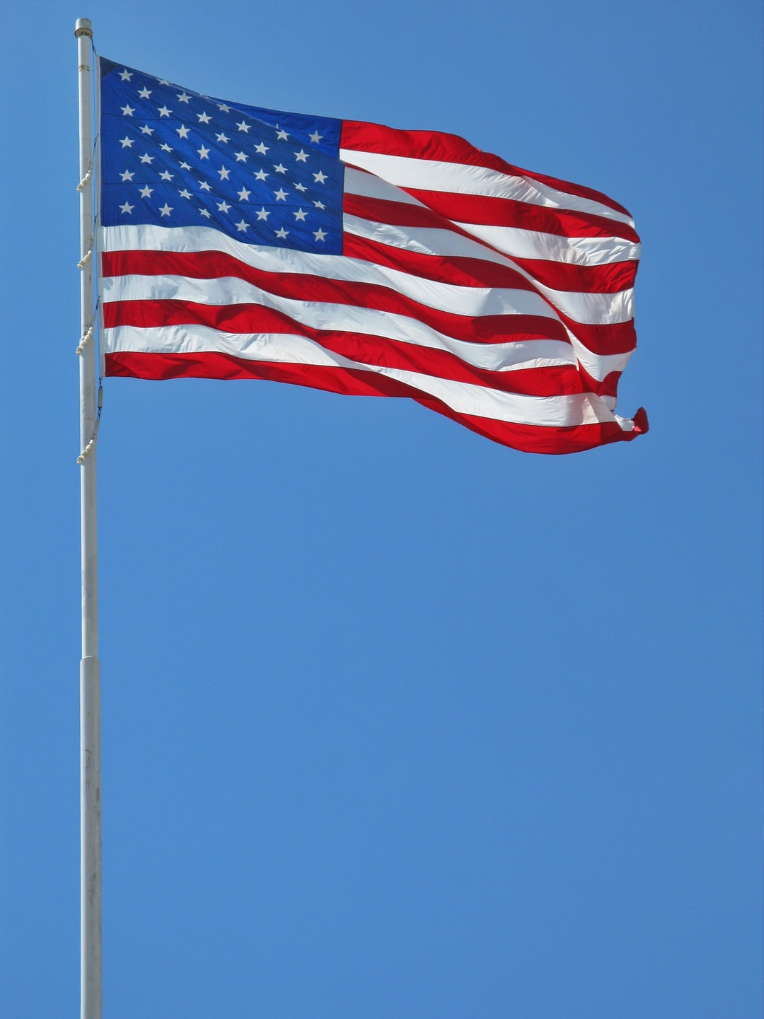 Detail Flag Of Usa Image Nomer 9