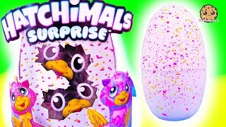 Detail Hatchimals Surprise Twins Nomer 14