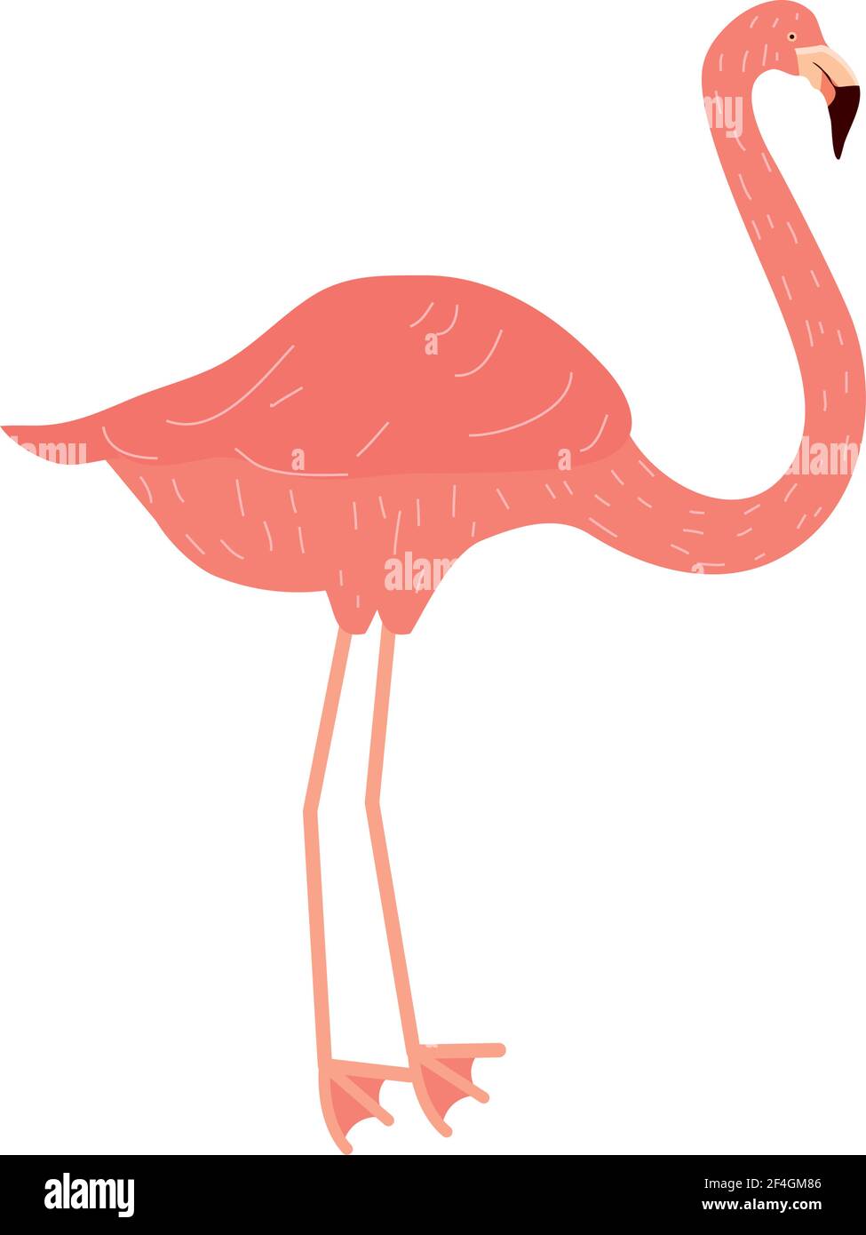 Detail Orange Flamingo Nomer 9