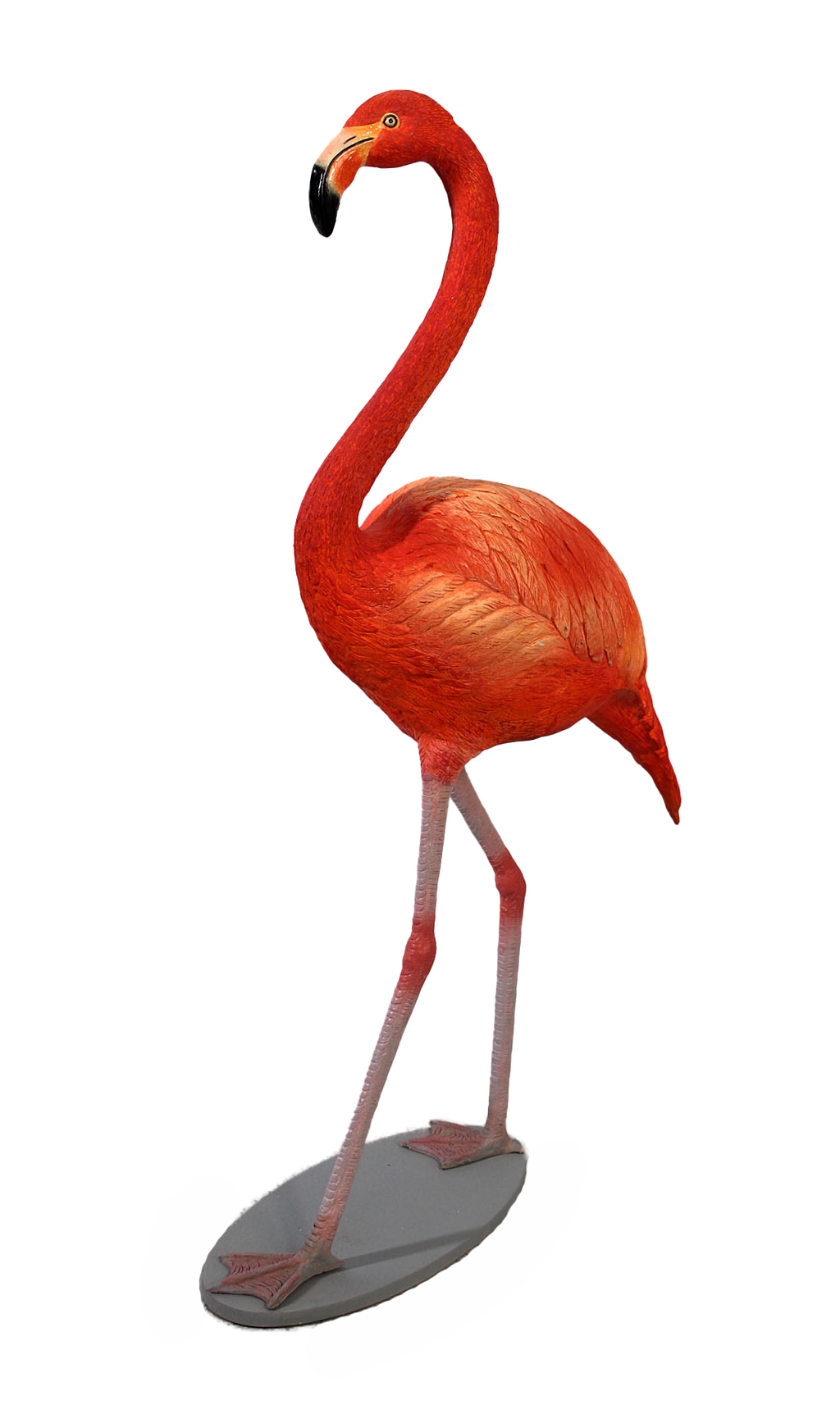 Detail Orange Flamingo Nomer 24