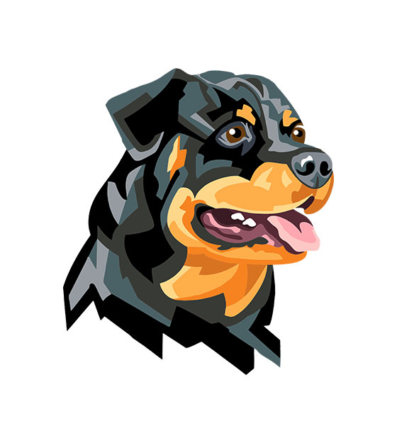 Detail Rottweiler Zeichnung Nomer 14