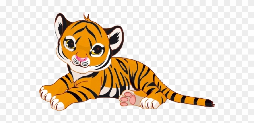 Detail Bilder Tiger Nomer 7