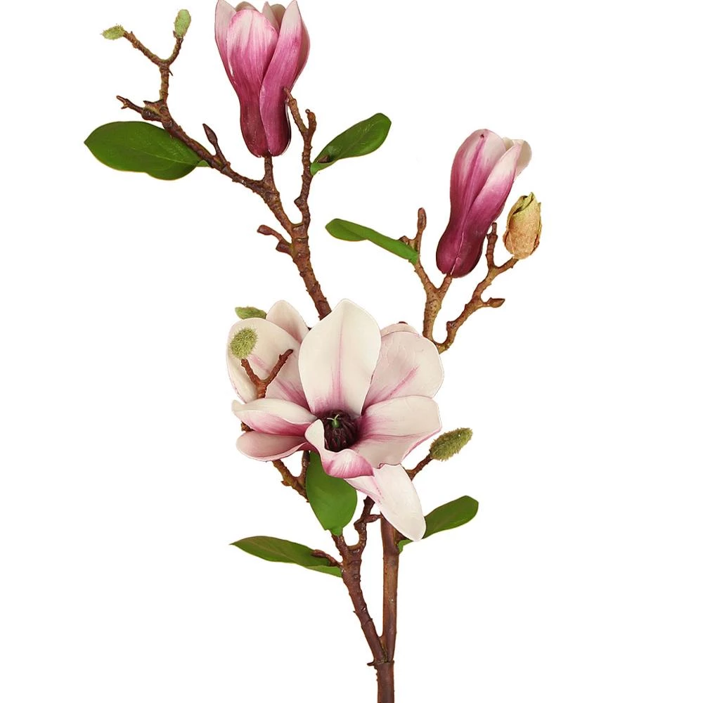 Detail Blumen Mit Stiel Nomer 20