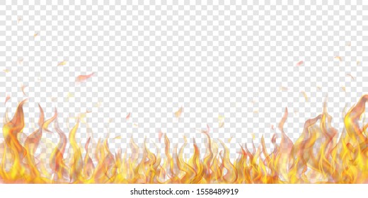 Detail Flames On Transparent Background Nomer 20