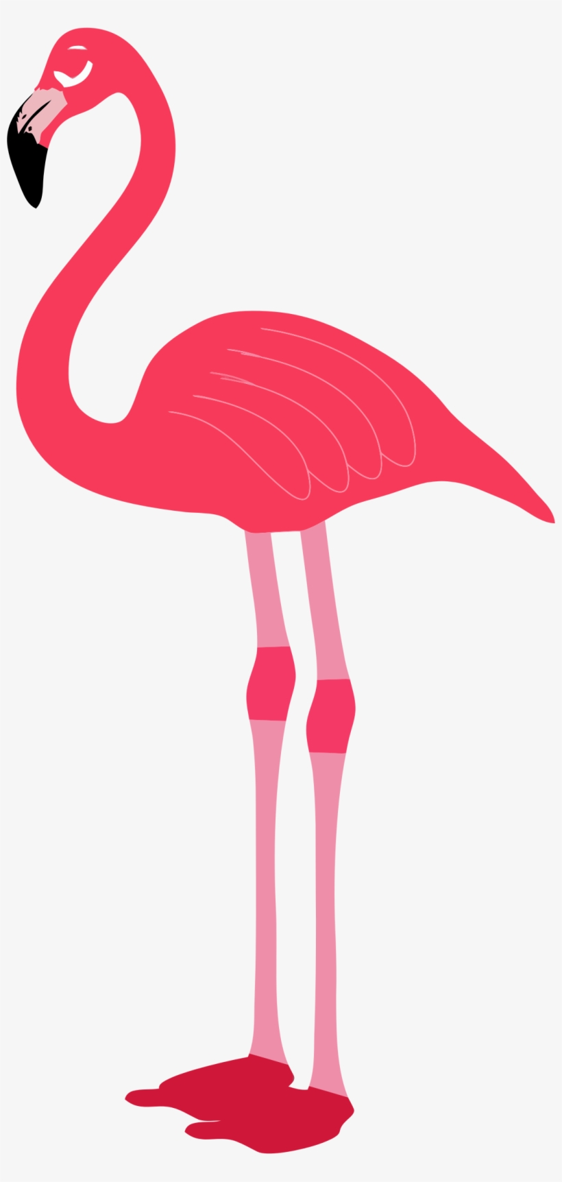 Detail Flaminggo Png Nomer 13