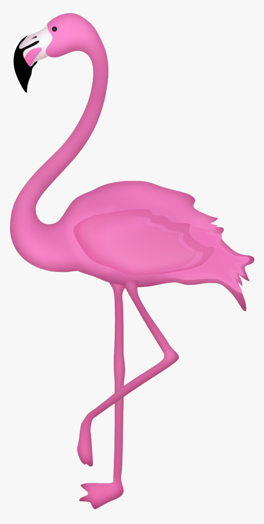 Detail Flaminggo Png Nomer 3