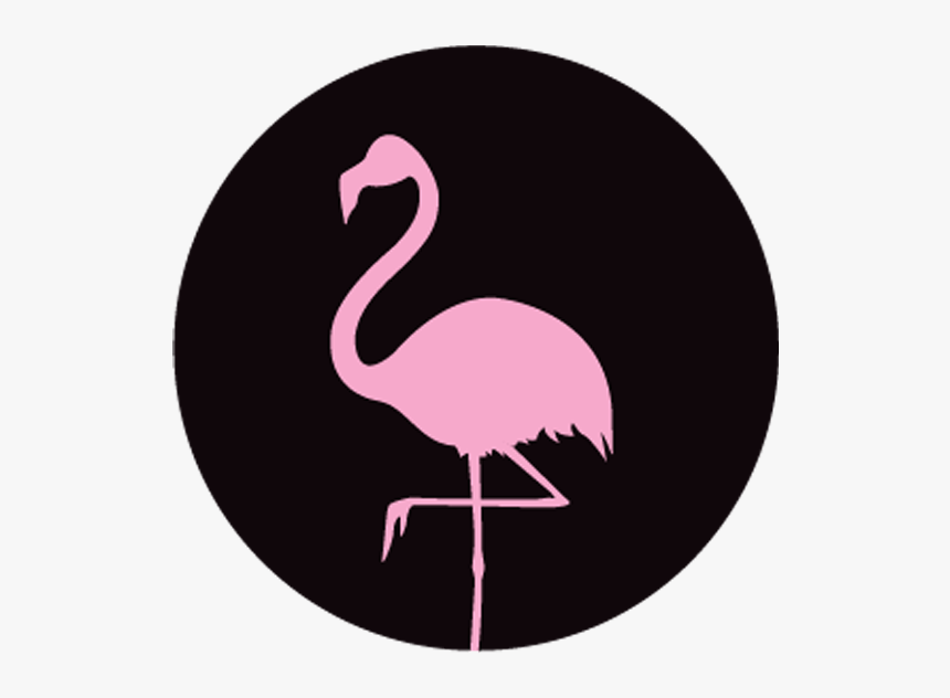 Detail Flaminggo Png Nomer 47