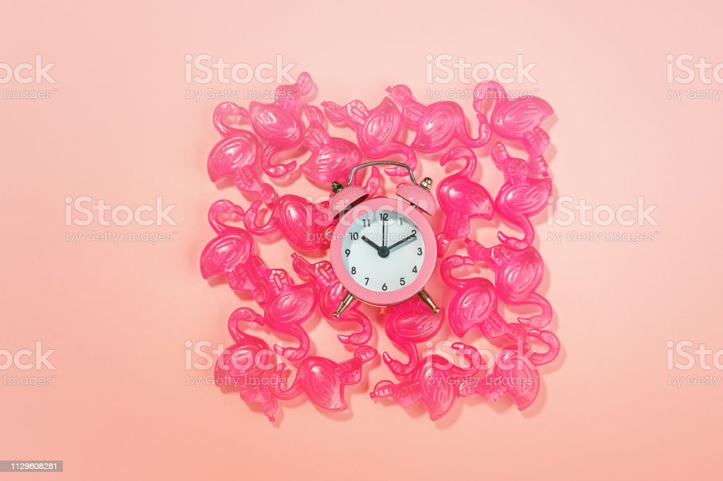 Detail Flamingo Alarm Clock Nomer 14