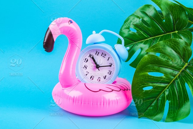 Detail Flamingo Alarm Clock Nomer 55
