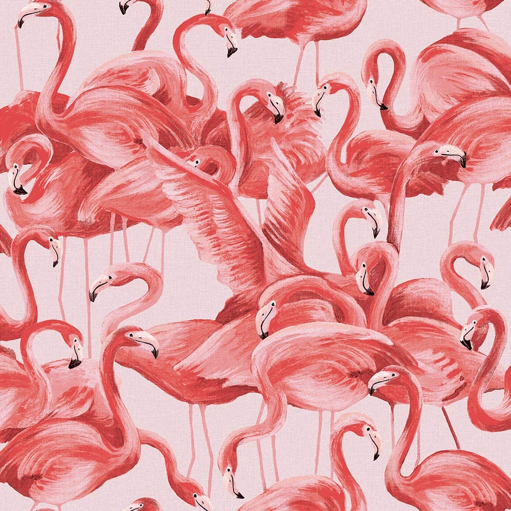 Detail Flamingo Background Images Nomer 12