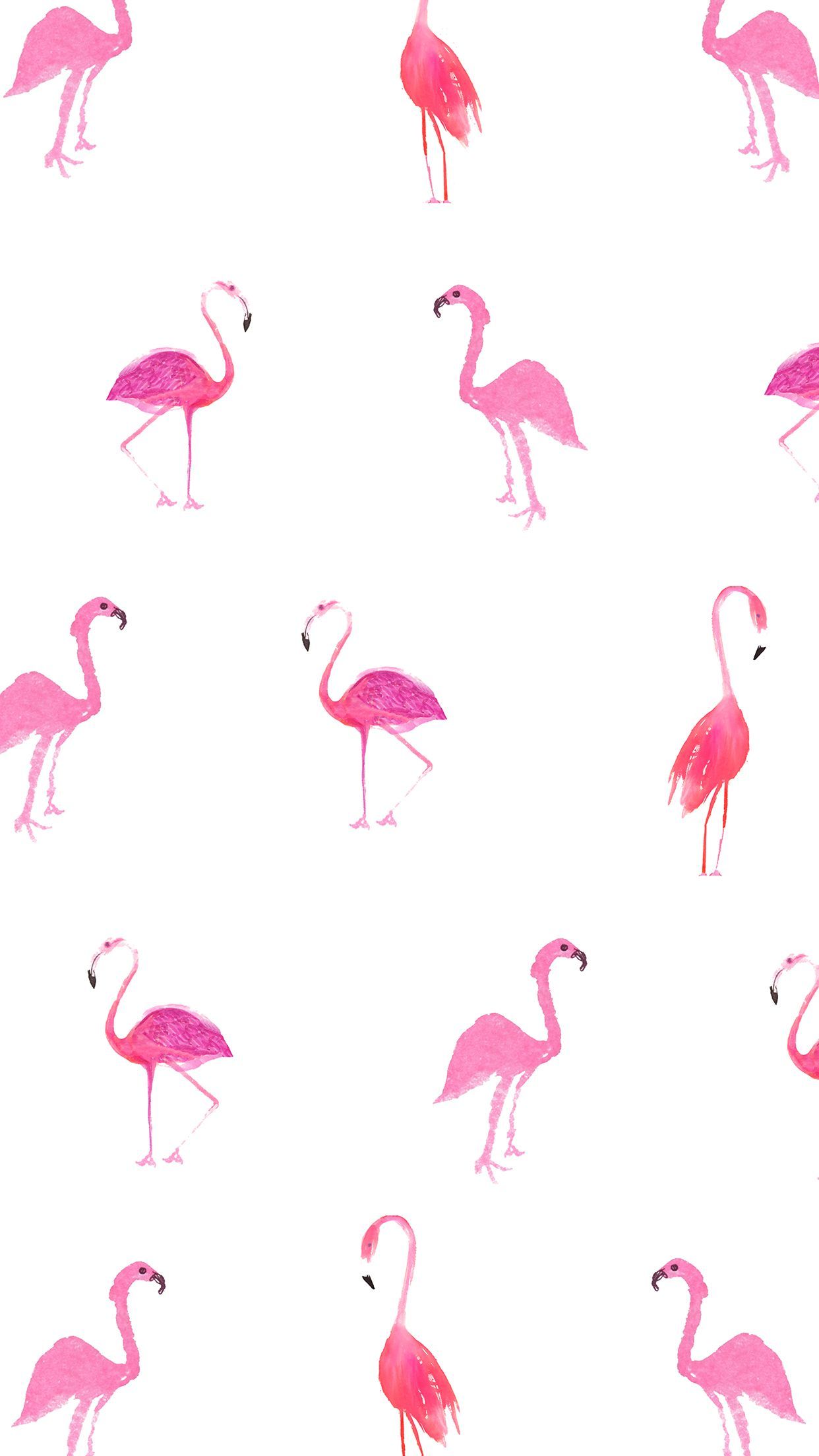 Detail Flamingo Background Images Nomer 18