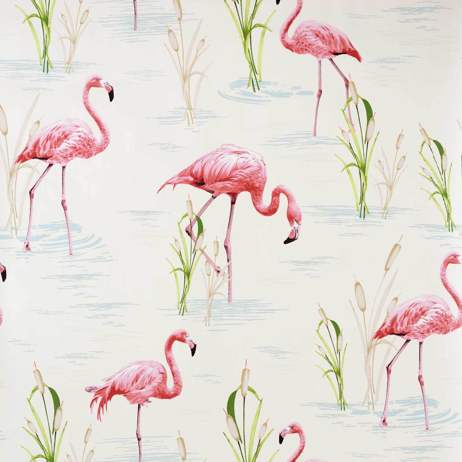 Detail Flamingo Background Images Nomer 19