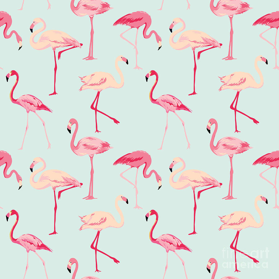 Detail Flamingo Background Images Nomer 23