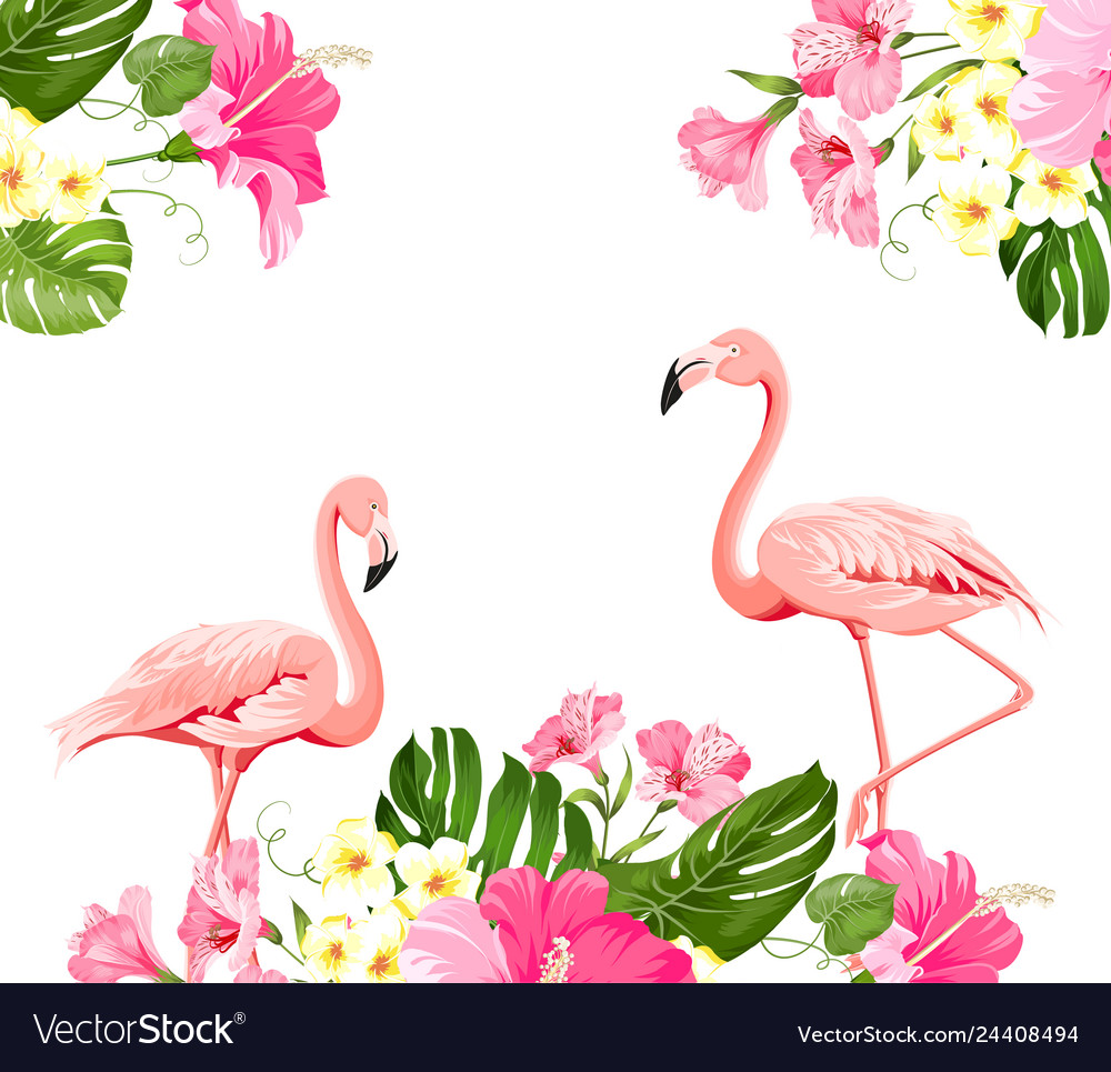 Detail Flamingo Background Images Nomer 4