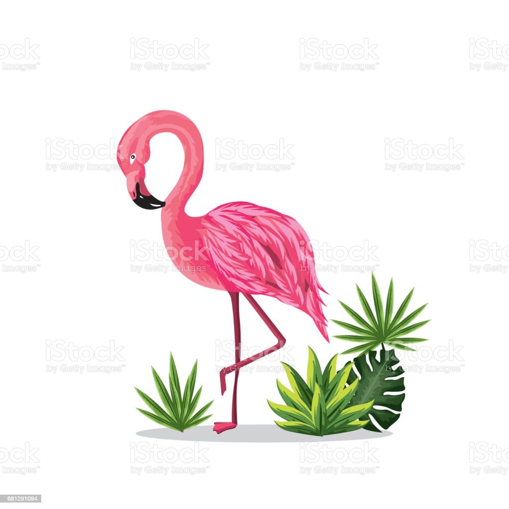 Detail Flamingo Background Images Nomer 35