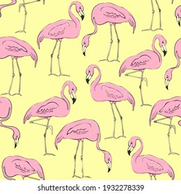 Detail Flamingo Background Images Nomer 40